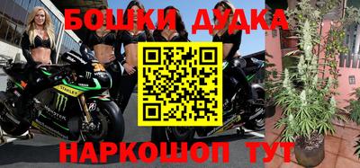 apvp Канаш