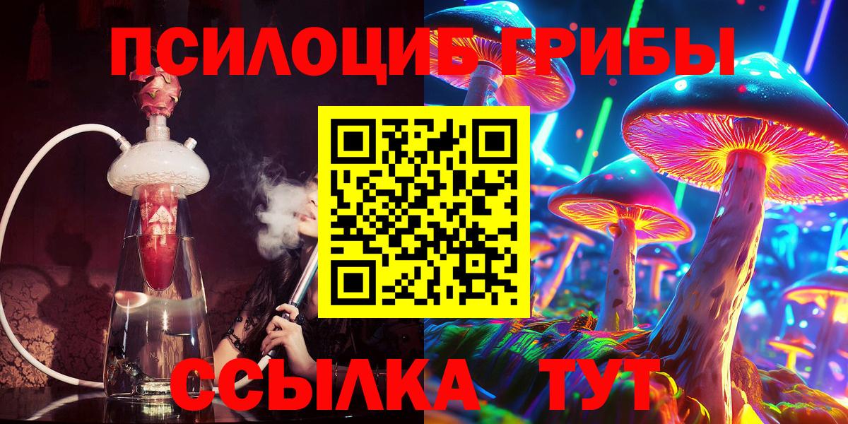 Кудымкар  Псилоцибиновые грибы прущие грибы  Вход с VPN 
